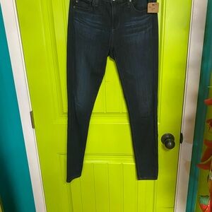 AG Adriano Goldschmied Dark Indigo Skinny Jeans